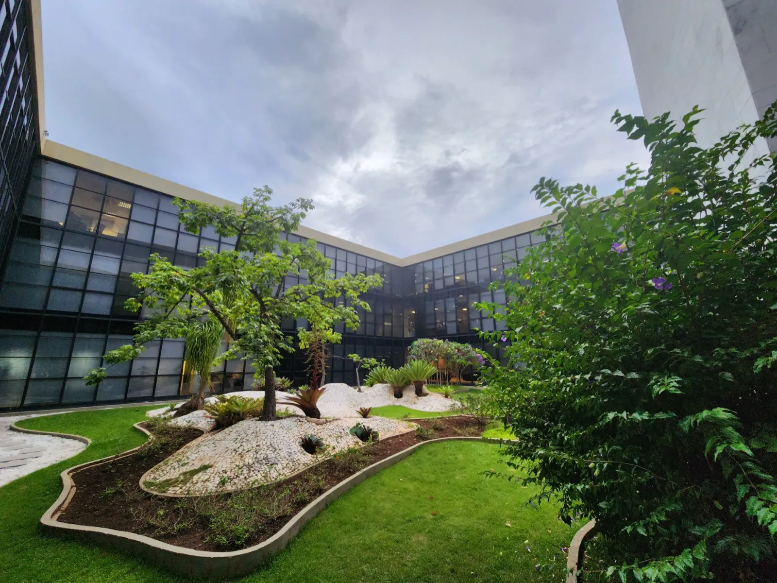 Jardim interno da sede do Tribunal de Contas da União, em Brasília, com canteiros e árvores diante de paredes de vidro do edifício.